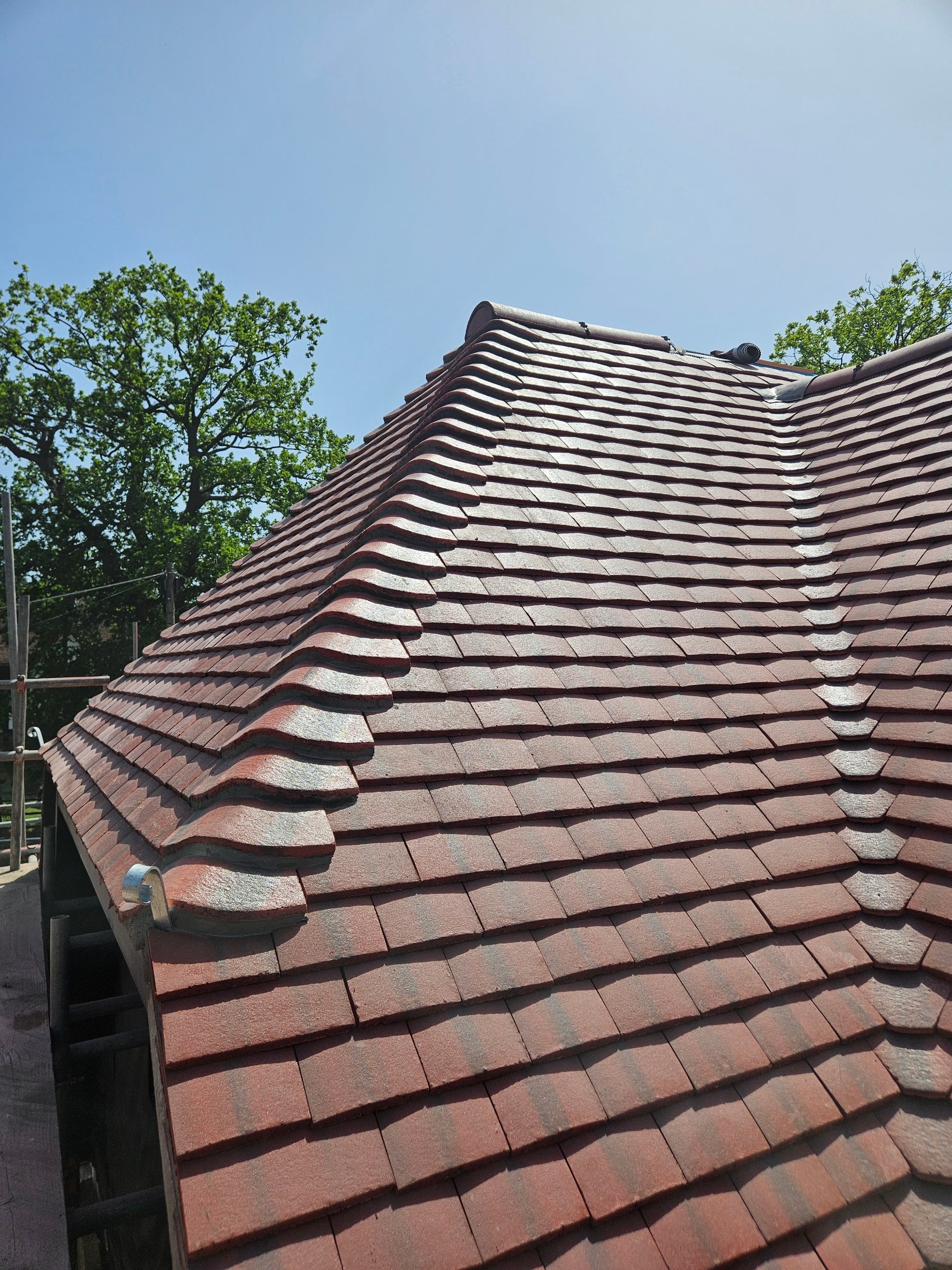 Reliable Roofing and Building Experts